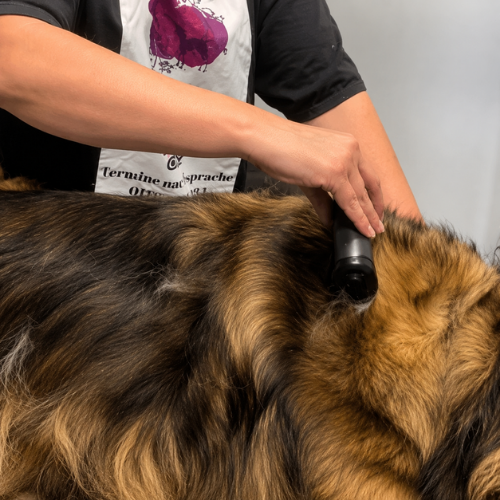 FurGlide - Professionele Vachtverzorgingsborstel